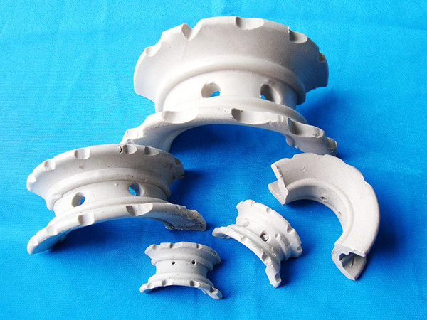 陶瓷異鞍環(huán)